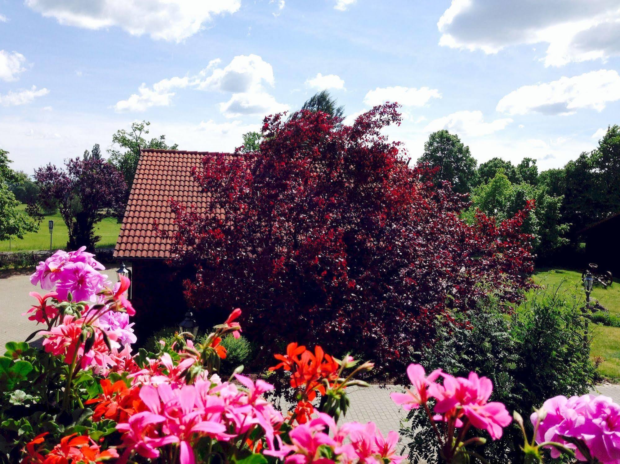 Hotel & Restaurant Zur Spreewaelderin Golßen 외부 사진